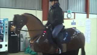 Otley College Equine Studies students promotional video [upl. by Aram595]