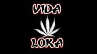 Racionais MCs  Vida Loka Parte 1 [upl. by Mellicent]