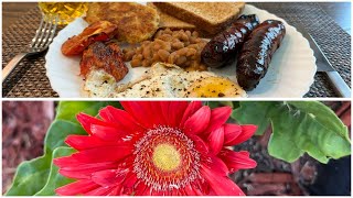 ছেলে মেয়ে বানালো আজকের breakfast। America এর বাড়ির গাছ গুলো কী সব মরে গেলো [upl. by Ysnat252]