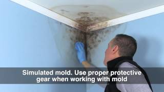 How To Apply Zinsser Mold Killer [upl. by Berlin]