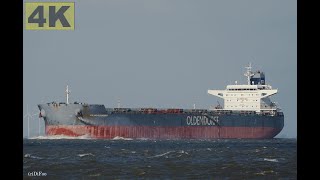 ROLAND OLDENDORFF  Shipspotting Germany 🇩🇪 IMO 9463633  River Elbe near Otterndorf  4K VIDEO [upl. by Bardo929]