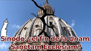 Sínodo ¿el fin de la Unam Sanctam Ecclesiam  Visto desde Roma  Julio Loredo [upl. by Eldreeda]