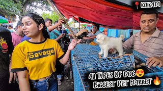 Cheap Price Dog In Kolkata  Gallif Street Pet Market Kolkata  Recent Dog Puppy Price Update  Dogs [upl. by Desta257]