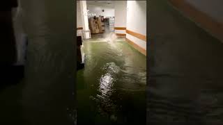 AVISO ROJO en MÁLAGA por una DANA que deja INUNDACIONES y RIADAS [upl. by Mayworm]