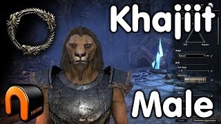 Elder Scrolls Online  Khajiit Male  Character Creation [upl. by Sitoeht]