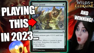 😮INSANE NEW Gruul Tricks Deck for Standard 🔥MTG Eldraine Gameplay amp Deck Tech [upl. by Zednanreh]