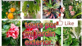 TOUR POR MI JARDÍN EXTERIOR [upl. by Dyan54]