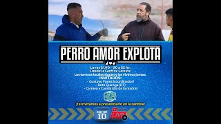 Perro Amor Explota Episodio 7 [upl. by Eenttirb562]