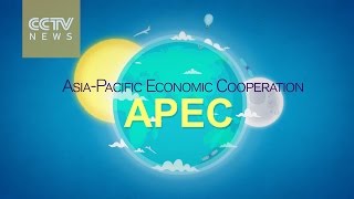 What is APEC [upl. by Stoops250]