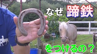 馬はなぜ蹄鉄をつけるの？ナッキーの馬の教室 [upl. by Lyns]