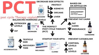 Post Cycle Therapy PCT Explained in Hindi  Best Way To Do PCT For STEROIDS And SARMS All ABOUT PCT [upl. by Lekar300]