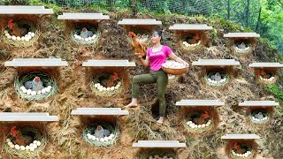 Building Many Nest For Hens To Lay Egg  Harvest A Lot Of Chicken Eggs In Hole Go To Market Sell [upl. by Pierrepont110]