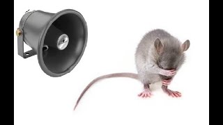 RODENT REPELLENT  High Pitch Sound keep away MICE [upl. by Sac]