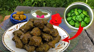 how to make dolma   dolma asmr  cooking in nature  cooking rain asmr [upl. by Argela200]