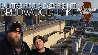 Hunting 3 eyed fish at Braidwood lake [upl. by Calva]