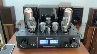 Upgrade tubes in Willsenton R800i 300B 805 tube amplifier [upl. by Marquardt617]