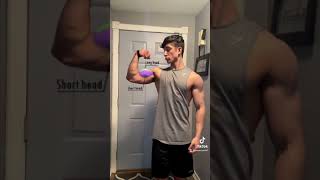 How to grow your bicep width Best exercises for wider biceps [upl. by Oicneconi]