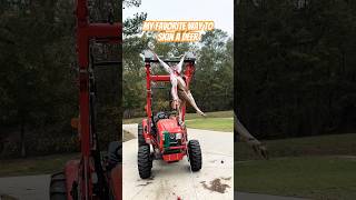 Tractor  Winch  golfball  time  my favorite way to skin a deer deerhunting homestead diy [upl. by Lonnie]