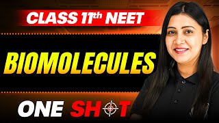 Biomolecules IN ONE SHOT  Full Concepts amp PYQ  Zoology  NEET Class 11th [upl. by Ainessey]