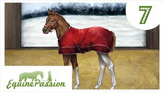 Equine Passion EP Wir ZÜCHTEN das 1 Mal 🤩  Lets Play 7 DEUTSCH [upl. by Nywled]