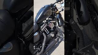 Custom Harley Davidson Sportster Iron 883 iron883 [upl. by Saihttam784]