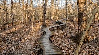 Meadowood the best elevated wooden features [upl. by Ailev]