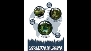 Allied School China Scheme Campus Geography Class 6 Types of Forests [upl. by Latreece]