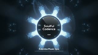 Soulful Cadence Kalimba Music Spa HD Soulful Rhythm Dynamic and Energetic [upl. by Atalanti454]