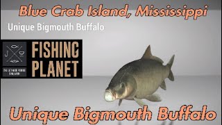 Fishing Planet  Unique Bigmouth Buffalo  Blue Crab Island Mississippi  Fishing Guide [upl. by Nahguav]