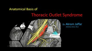 Anatomical Basis of Thoracic Outlet Syndrome [upl. by Yerffoej]