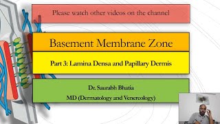 Basement Membrane Zone BMZ Part 3  Lamina Densa and Papillary Dermis [upl. by Belia553]