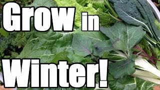 8 Keys to Growing in Winter in an Unheated Greenhouse Hoop House [upl. by Ainomar]