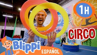 Blippi aprende acrobacias en el circo🎪 Blippi Español  Videos educativos  Aprende y Juega [upl. by Noak659]