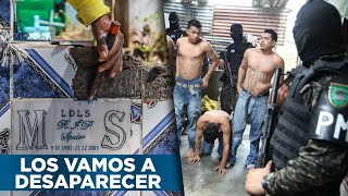 Así Ponen Fin A Las Pandillas Bukele Envía Reclusos A Destruir Tumbas De Pandilleros En El Salvador [upl. by Stodder104]