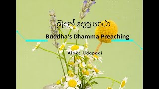 Dhammapada Gatha  යථාපි පුප්ඵ රාසිම්හා [upl. by Dlanor261]