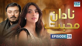 Pakistani Drama  Nadaan Muhabbat Episode 28  Aplus  Noman Ijaz Saboor AliSalman Shahid  C7A1O [upl. by Asyram916]