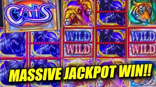 MASSIVE JACKPOT LINE HIT ON CATS SLOT MACHINE ➜ 60 BETS amp HANDPAY [upl. by Shadow674]