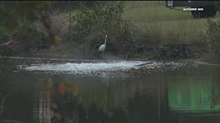 Rockdale sheriff sends letter to businesses saying they must stay inside due to high chlorine levels [upl. by Timon]