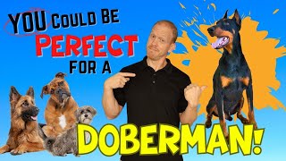 A Doberman Is Perfect for You if You Have These 5 Traits [upl. by Airtemed819]