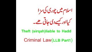 Theft Liable To Hadd Criminal Law LLB part 1 [upl. by Torie242]