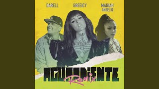 Aguardiente Remix [upl. by Eecyac]