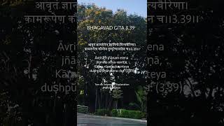 Bhagavad Gita Chapter 3 Verse 39  Desire The Eternal Enemy of Wisdom Just Sudha Gyan [upl. by Alaek]