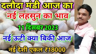 दलौदा मंडी नई ऊटी लहसुन का भाव 11 दिसंबर 2023 new ooty garlic rate today nai lahsun ka bhav [upl. by Llednohs]