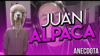 Juan ALPACA  Anecdota  MomoLaDinastia [upl. by Noivad]