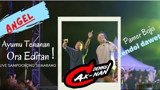 ANGEL  Ayumu Tenanan Ora Editan   Pamer Bojo  Cendol Dawet   DENNY CAKNAN LIVE KONSER Semarang [upl. by Gerda210]