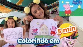 DESAFIO COLORINDO com 3  3 cores PEPPA PIG em 5 minutos  Laurinha Araújo [upl. by Meirrak385]