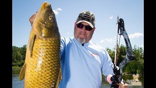 2019 Season  Bowfishing Carp [upl. by Shugart]