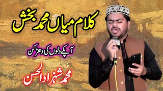 kalam mian muhammad bakhsh  Saif ul Malook by Shahzad ul Hassan  tajdar e madiiina [upl. by Enelrihs]