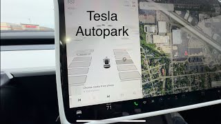 Tesla Autopark self parking 2024 Model Y trial [upl. by Fabio]