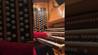 Pachelbel meets How to Train your Dragon on the organ of the Royal Albert Hall [upl. by Cami]